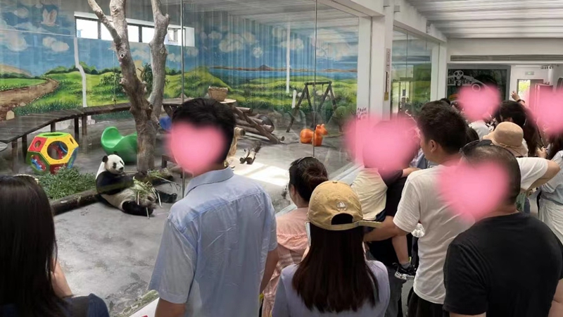 1686187626389026.jpg 365a73b9d7c4a0b97f5e12d9c2d8123_副本.jpg